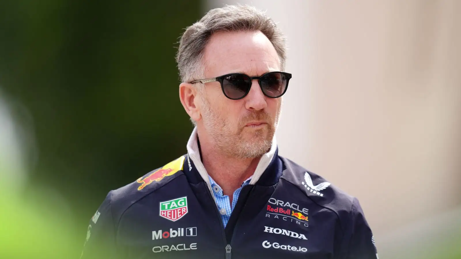 Horner ‘did not agree' with Verstappen promotion claims Marko source thumbnail