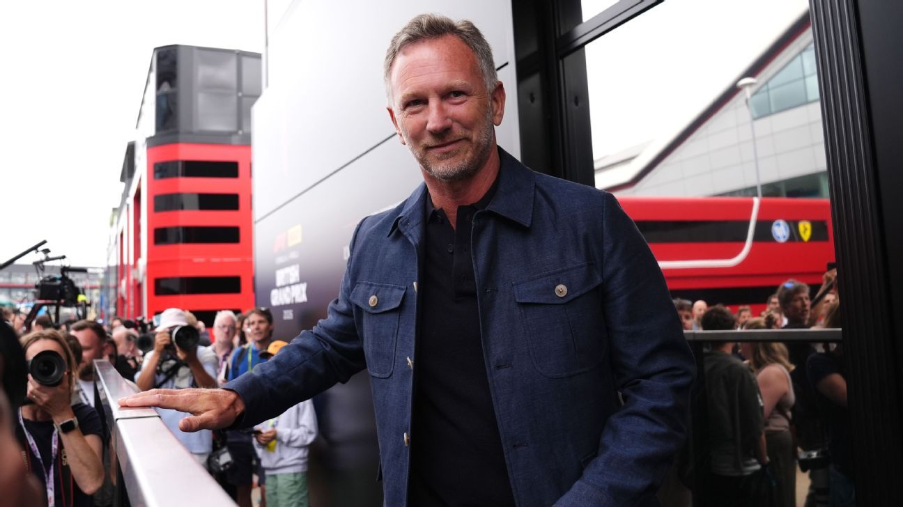 FIA chief Ben Sulayem confident Christian Horner will return to F1 source thumbnail